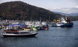 3 Provinsi Ini Bakal Jadi Percontohan Pembangunan di Indonesia Timur