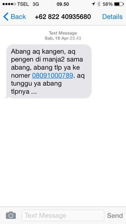 Masihkah Anda Menerima SMS Esek-esek Hari Ini?