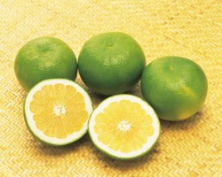 Som Oh dan Santol, Buah Unik Thailand yang Jadi Pencuci Mulut (1)