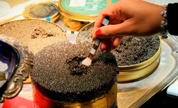 Inilah Kopi, Daging Sapi dan Smoked Salmon Termahal di Dunia (1)