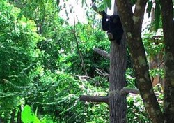 Ssst.. Ada Kembaran Taman Safari di Lampung