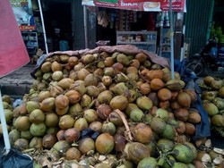 Long Weekend di Serang, Yuk Nikmati Segarnya Kelapa Muda Pasar Lama