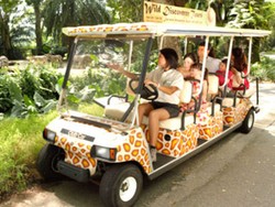 Libur Panjang, Ini Tur Seru di Kebun Binatang Singapura