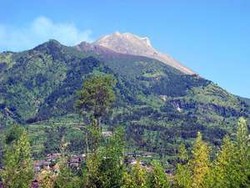 Keraton Yogya Gelar Upacara Adat Labuhan Merapi Besok