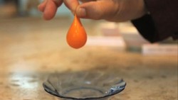 Mau Coba? Peneliti IPB Ciptakan Telur Rendah Kolesterol