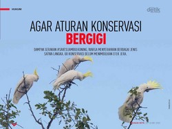 Agar Aturan Konservasi Bergigi