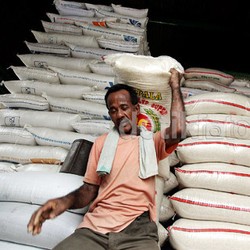 Jokowi Sebut Ada yang Desak Impor Beras, Ini Kata Mendag Gobel