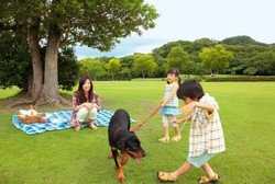 Mempunyai Hewan Peliharaan Bisa Jaga Kesehatan Mental