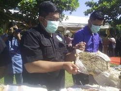 Gara-gara Narkoba, 15 Polisi Aceh Dipecat Selama 2015