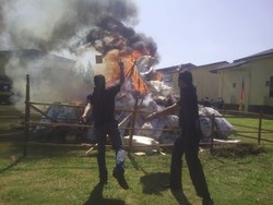 Polda Aceh Musnahkan 11,6 Ton Ganja Kering