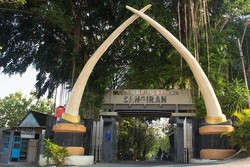 Berjumpa Manusia Purba di Museum Sangiran