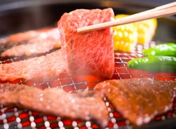Bikin Teppanyaki, Robatayaki dan Yakiniku dengan Daging Sapi Saga, Tokushima dan Hokkaido