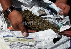 Darurat Narkoba di Sumut, Sasar Anak SD dan Ada Paket Anak Sekolah