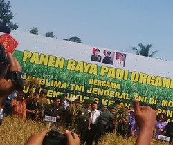 Militer dan Ilmuwan Wujudkan Pertanian Organik di Padang Pariaman