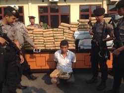 Polisi Amankan Pelaku Pengedar Ganja 150 Kg di Langkat