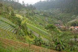 Siapa Sangka, Karanganyar Punya Lanskap Hijau nan Mempesona