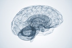 Otak Kanan dan Kiri Seimbang Bukan Jaminan Jadikan Seseorang Cerdas