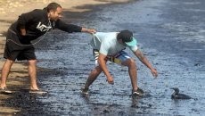 Gubernur California Umumkan Keadaan Darurat Terkait Tumpahan Minyak