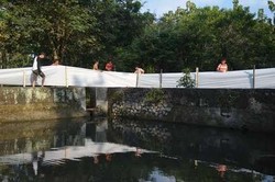 Pernikahan Mbah Kodok dan Peri, Legenda Baru dengan Tujuan Mulia