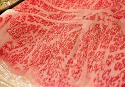 Mau Mencicipi Lembut Lumernya Daging Sapi Hokkaido? Gabung di Sini!