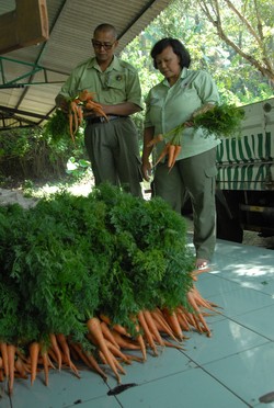 Melihat Dapur dan Aksi Para Master Chef Ransum Satwa di Taman Safari Prigen
