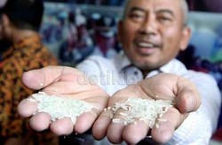 Sucofindo Diminta Tunjukkan pada Publik Hasil Temuan Beras Plastik
