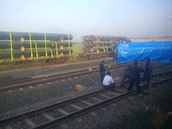 Korban Luka Kecelakaan KA di Cirebon Adalah Pengawal Kereta Barang