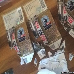 Ketika Tiket Pertandingan Sangat Penting Dirusak Anjing