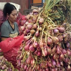 Bawang Merah Impor Merajalela Saat Produksi Petani Lokal Anjlok 30%