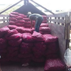 Ini Penampakan Bawang Impor yang Baru Mendarat di Pasar Induk