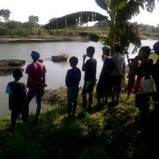 Heboh Buaya di Kali Porong, Selalu Muncul Saat Sore Hari