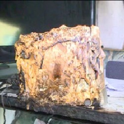 Nintendo Wii Hanguskan Rumah Berjalan Si Gamer