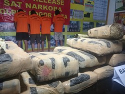 Kubur 20 Kg Ganja di Hutan, Kiwil Cs Ditangkap Polisi Bogor