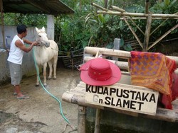 Ridwan, Penyebar Ilmu Kuda Pustaka di Pelosok Purbalingga yang Mendunia