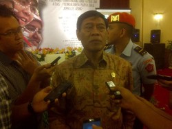 Ini Kata Menko Tedjo Alasan Pemerintah Setahun Tampung Pengungsi Rohingya