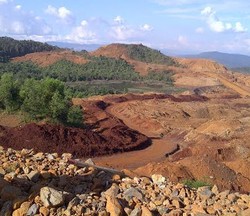 Bekas Tambang Nikel Ini Bakal Diubah Seperti Kebun Raya Bogor