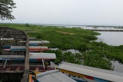 Sudah Tahu? Ada Bukit Cinta di Rawa Pening, Semarang