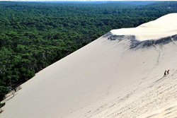 Bukit Pasir di Prancis Bisa Bergerak Memakan Hutan & Rumah