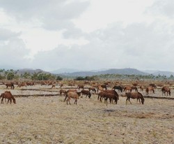 Sumbawa & 7 Destinasi Anti Mainstream di Asia Tenggara (1)