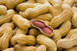 Susu Kacang Tanah Bisa Jadi Pilihan Susu Kacang Terbaru