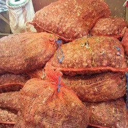 Bawang Merah Impor Ilegal Beredar, Ada Pemain Besar Bermain