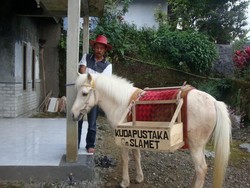 Kisah Penebar Ilmu Lewat Buku-buku Gratis Kuda Pustaka