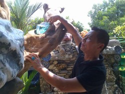 Pria di Semarang ini Koleksi Bongkahan Akik Mahal dan Dipajang di Taman