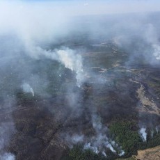 Kebakaran Hutan di Kanada Paksa 7 Ribu Orang Mengungsi