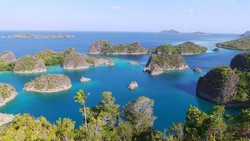Pemandangan Khas Raja Ampat di Pulau Pianemo