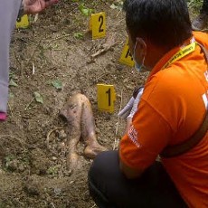 Polisi Belum Pastikan Dua Mayat Terkubur di Hutan Korban Mutilasi