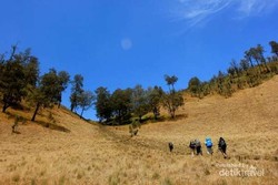 Rinjani & 4 Tempat Naik Gunung Favorit Traveler