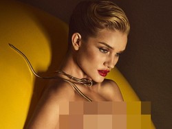 Hii... Rosie Huntington-Whiteley Pose Bugil Bareng Ular