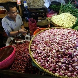 Ini Pesan Petani ke Jokowi Soal Bawang Merah Impor