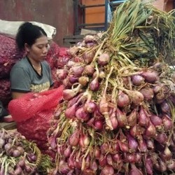 Parah, Bawang Merah Impor Ilegal Ditangkap Lalu Dilepas